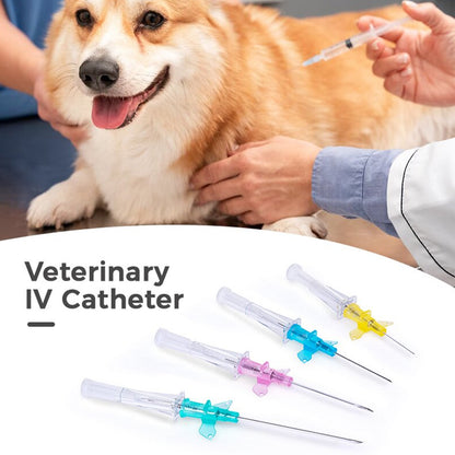 50-Pack 10ml PRP Gel Tubes with ACD Anticoagulant – Sterile Vacuum Tubes for PRP Separation